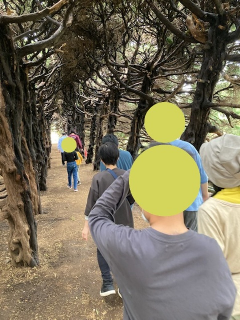 春の夢見ヶ崎動物公園へ行きました。
