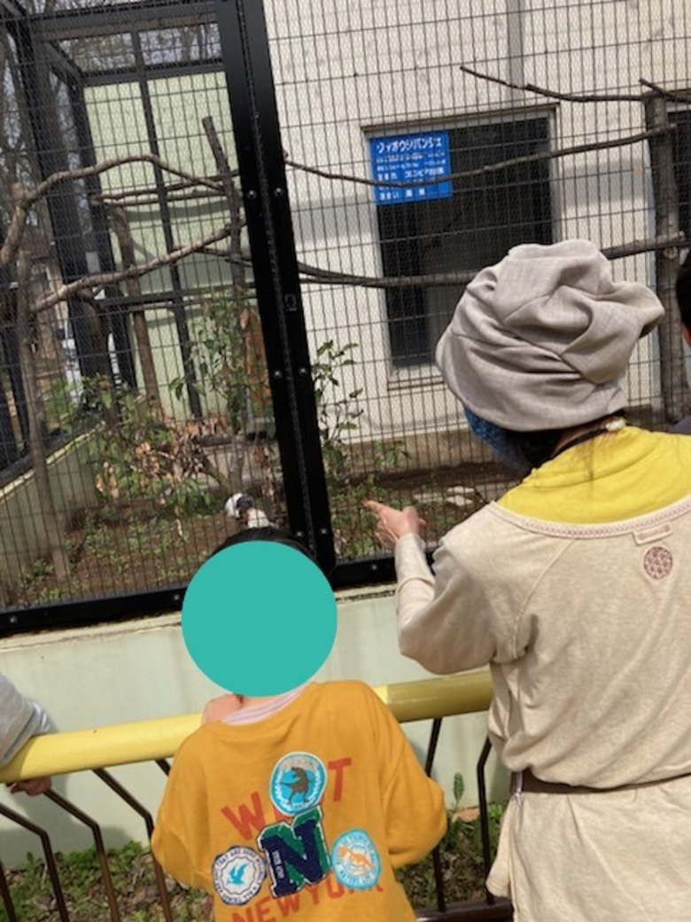 春の夢見ヶ崎動物公園へ行きました。