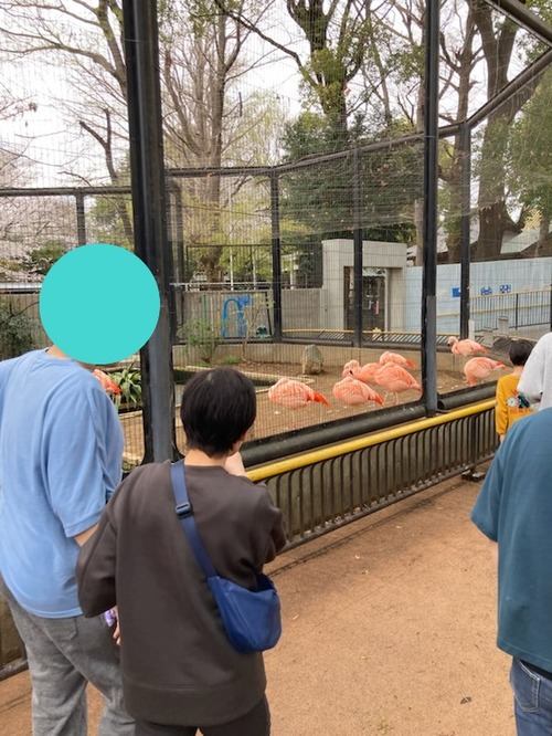 春の夢見ヶ崎動物公園へ行きました。