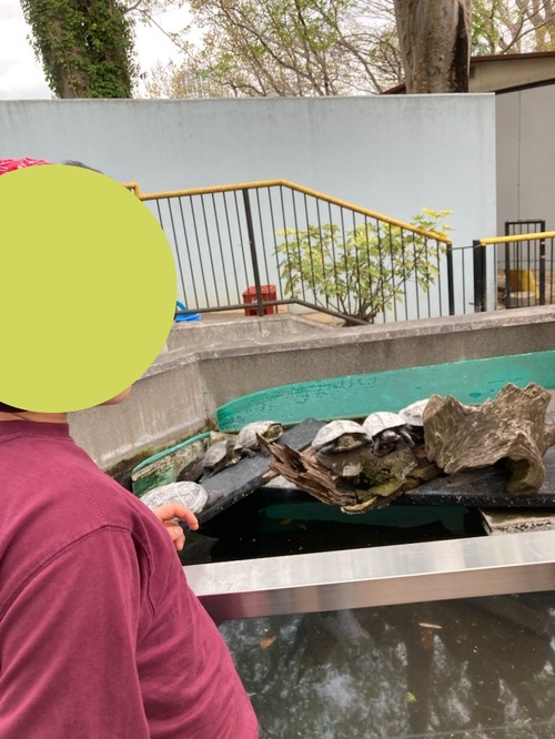 春の夢見ヶ崎動物公園へ行きました。